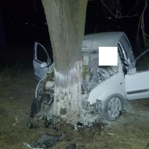 Гибель неопытной автоледи в результате столкновения автомобиля Ford Fusion с деревом на Ставрополье.